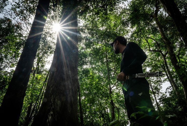 Hutan dan Benteng Pertahanan Negara